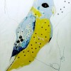 biradreamerbird biradreamerbird